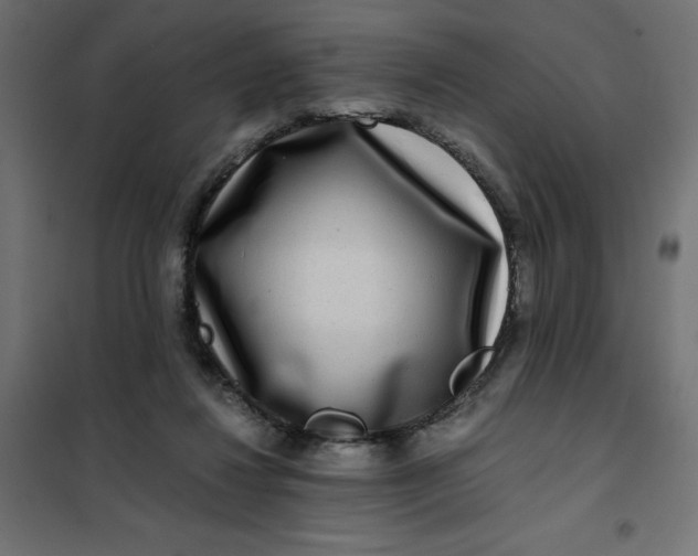 X0000101410260200807281032