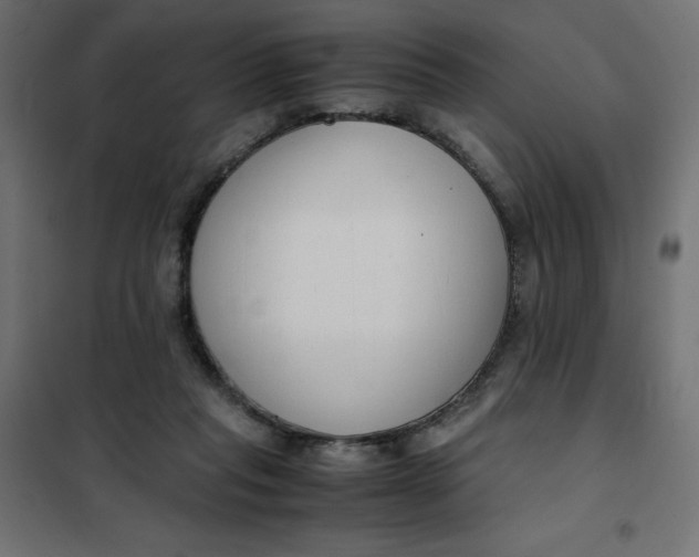 X0000101410261200807281032