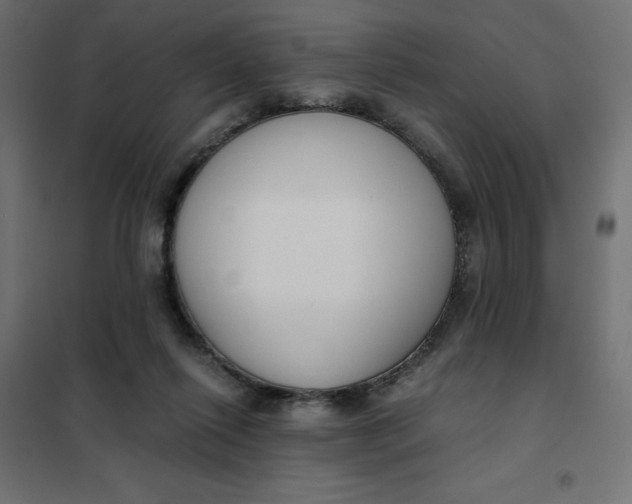 X0000101410262200807281032