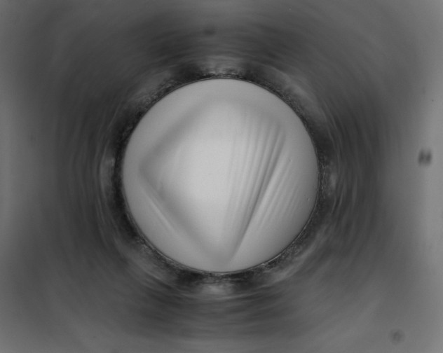 X0000101410263200807281032