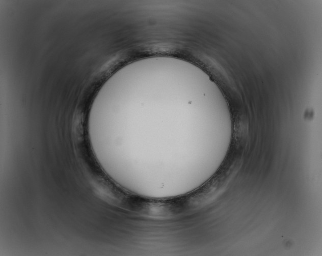 X0000101410264200807281032