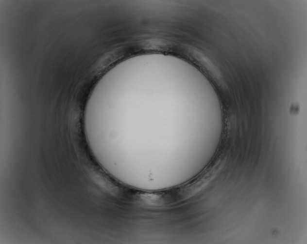 X0000101410265200807281032