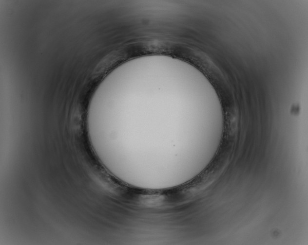 X0000101410266200807281032