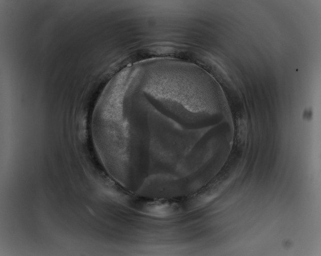 X0000101410267200807281032