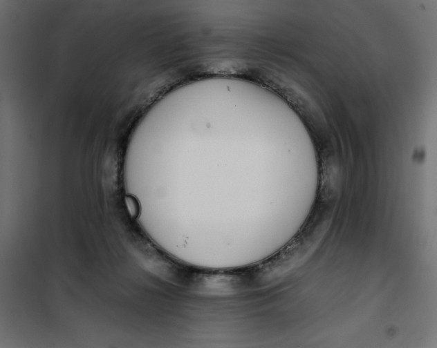 X0000101410268200807281032