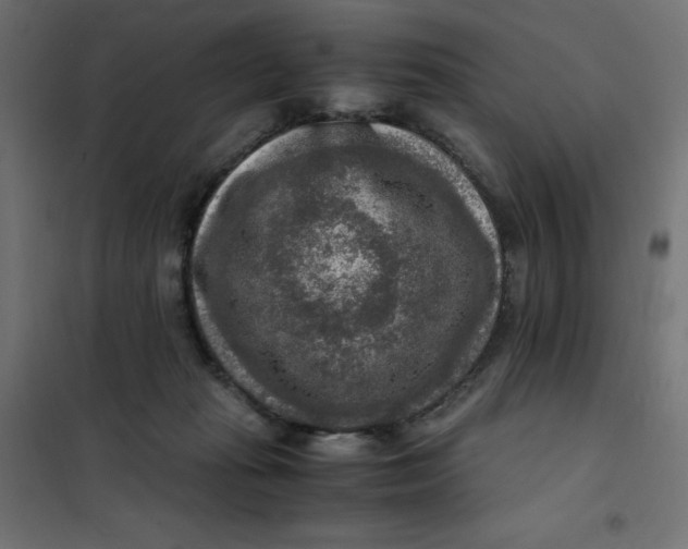 X0000101410269200807281032