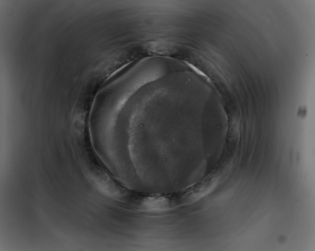 X0000101410271200807281032
