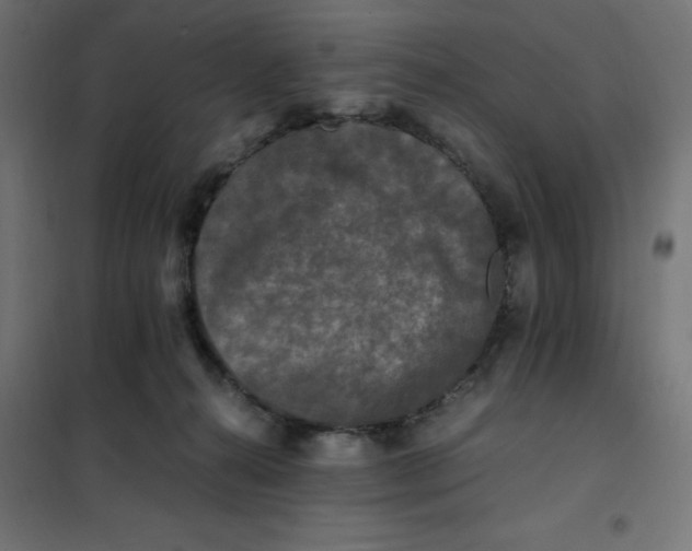 X0000101410272200807281032