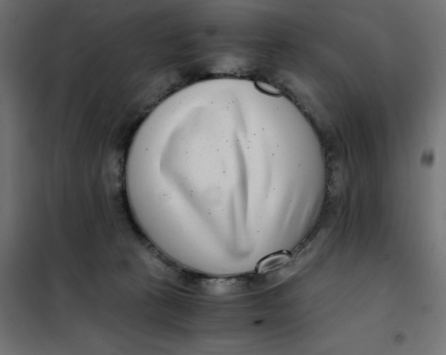 X0000101410273200807281032