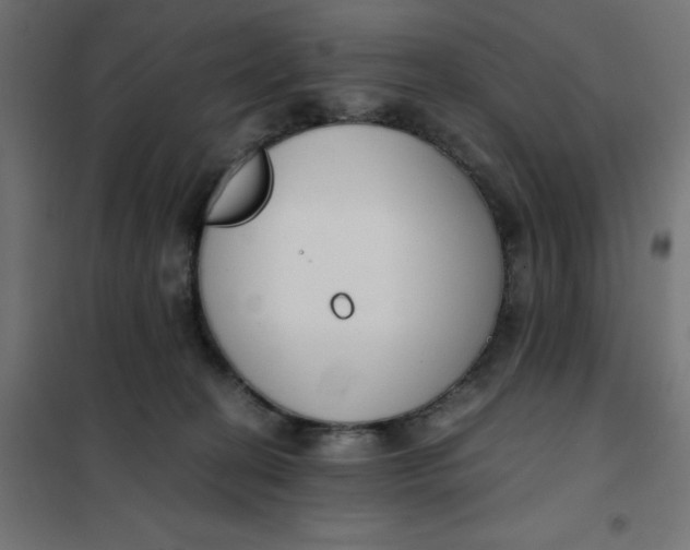 X0000101410274200807281032