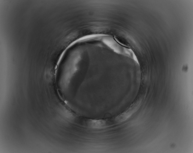 X0000101410277200807281032