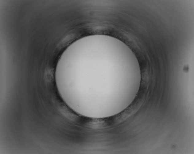 X0000101410278200807281032