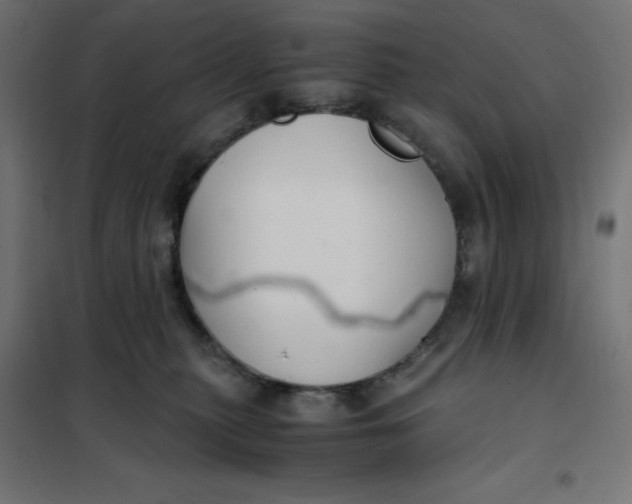 X0000101410279200807281032