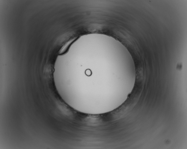 X0000101410280200807281032