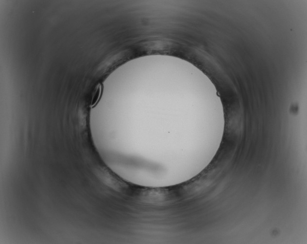 X0000101410282200807281032