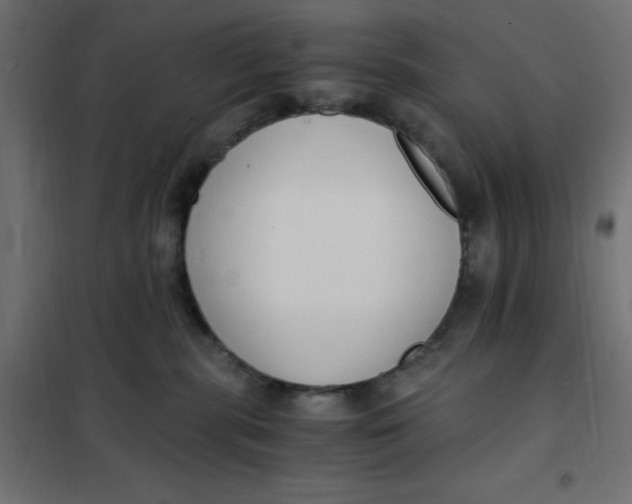 X0000101410283200807281033