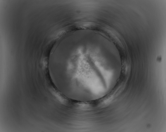 X0000101410284200807281033