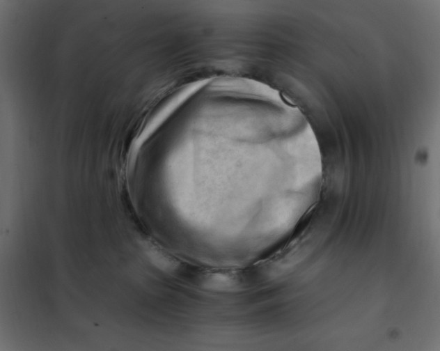 X0000101410285200807281033