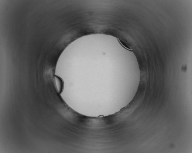 X0000101410286200807281033