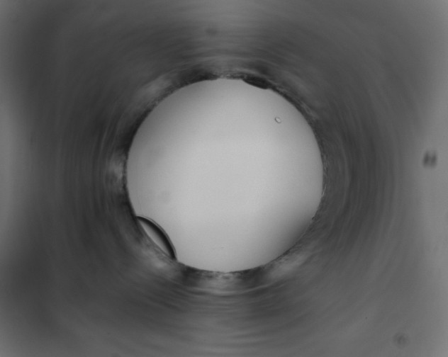 X0000101410288200807281033