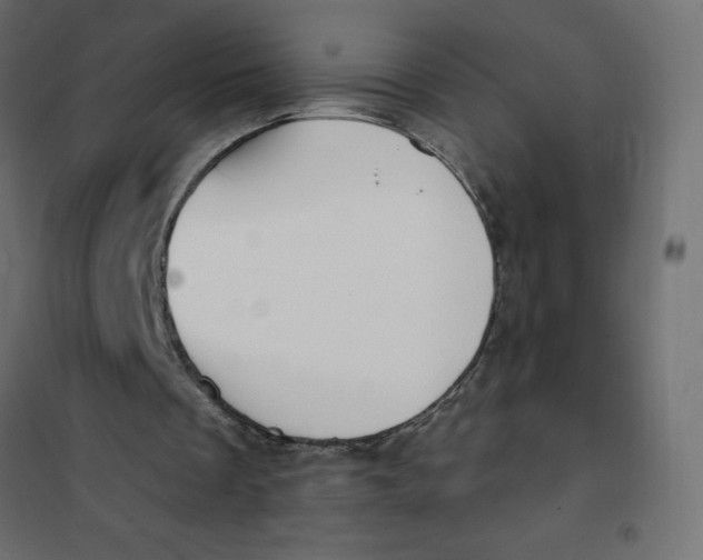 X0000101410289200807281032