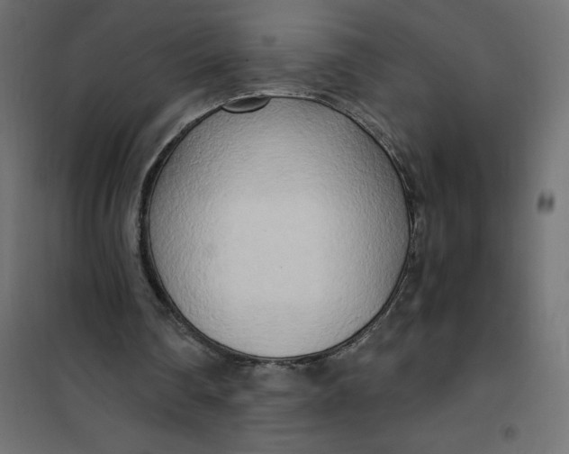 X0000101410290200807281032