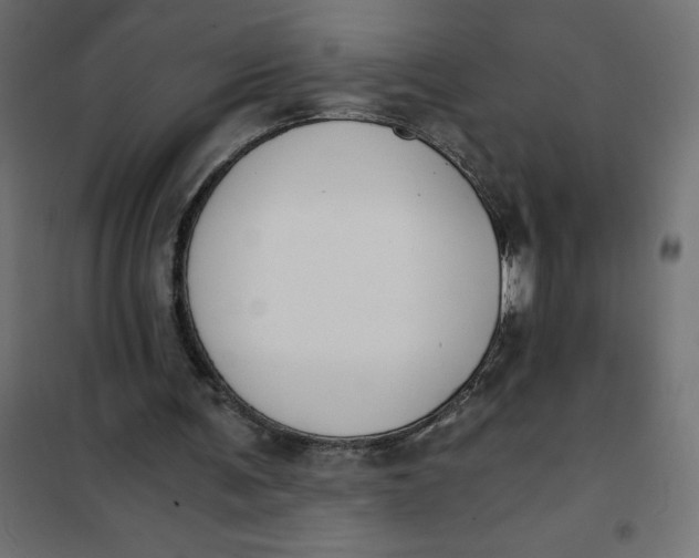 X0000101410291200807281032