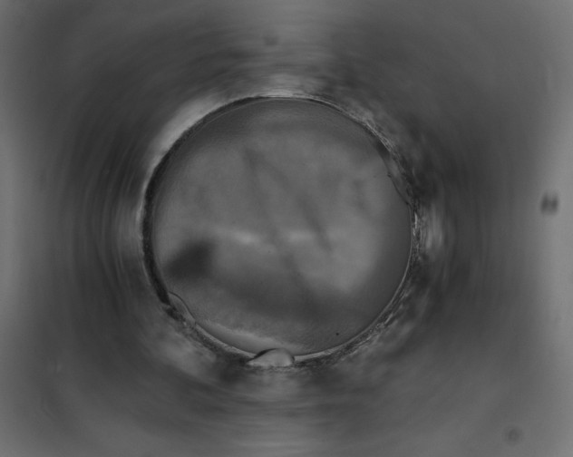 X0000101410292200807281032