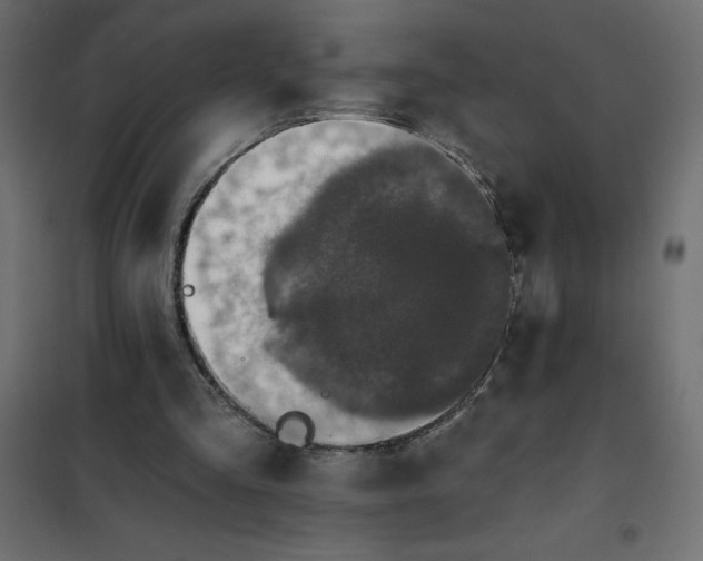 X0000101410293200807281032