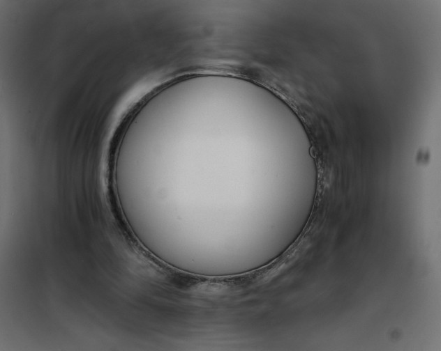 X0000101410294200807281032