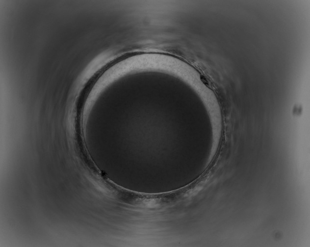 X0000101410295200807281032