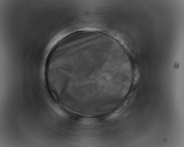 X0000101410296200807281032