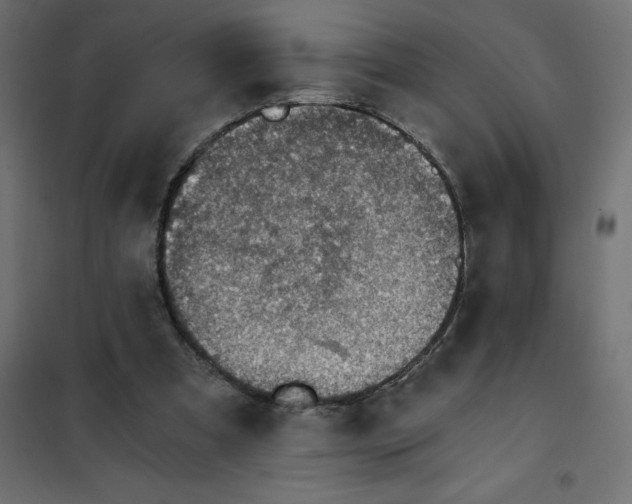 X0000101410297200807281032