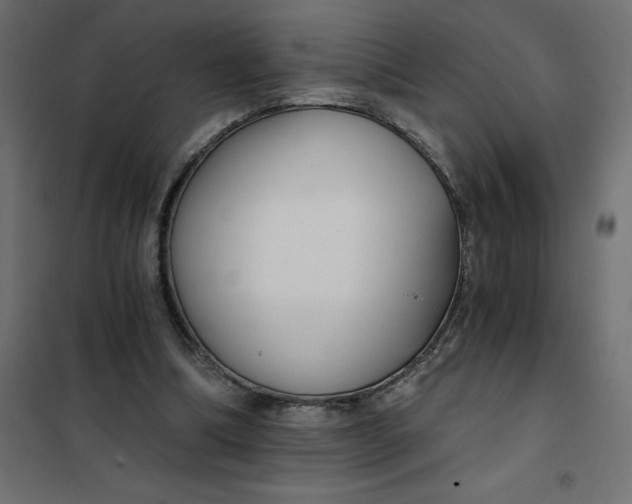 X0000101410298200807281032
