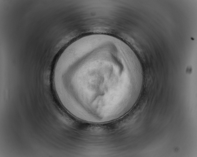 X0000101410299200807281032