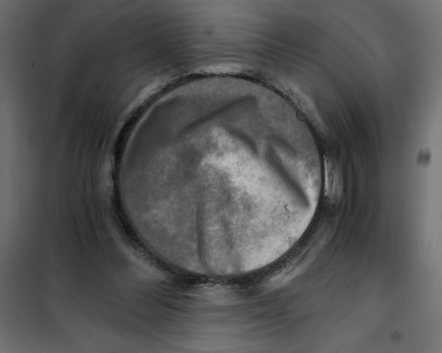 X0000101410300200807281032