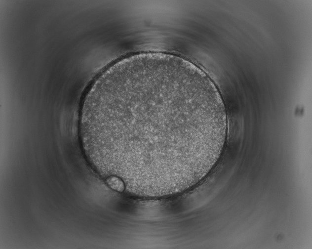 X0000101410301200807281032