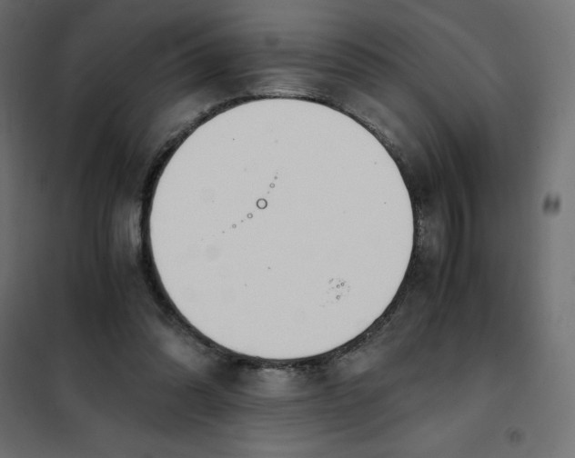 X0000101410302200807281032