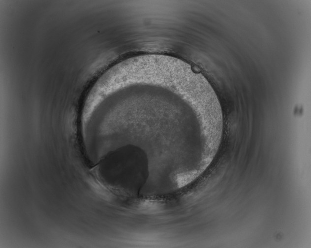 X0000101410303200807281032