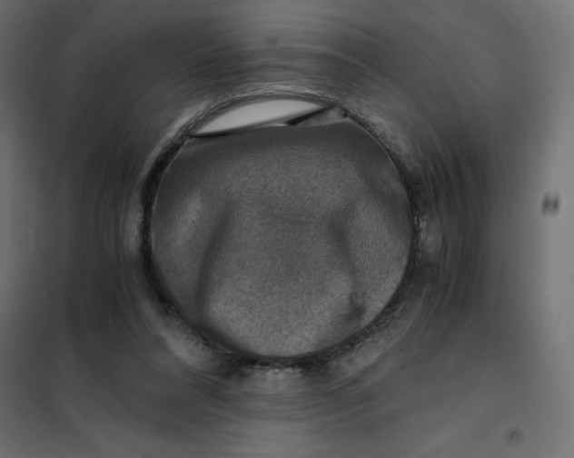 X0000101410304200807281032
