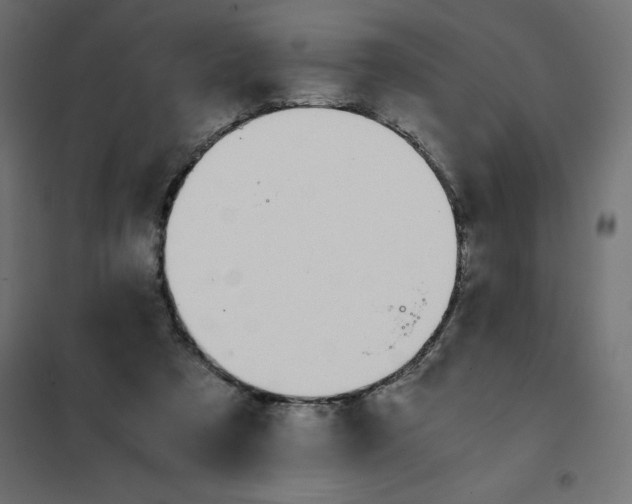 X0000101410305200807281032