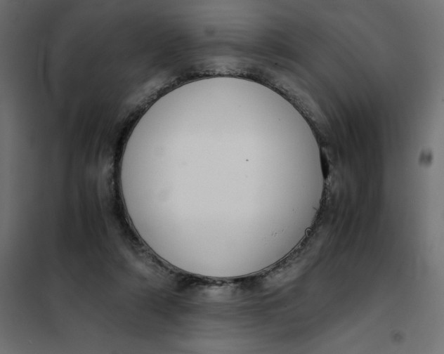 X0000101410306200807281032