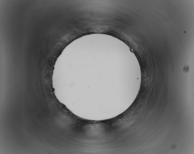X0000101410307200807281032