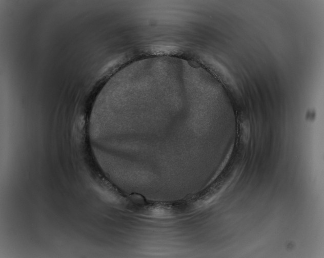 X0000101410308200807281032