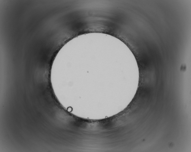X0000101410309200807281032