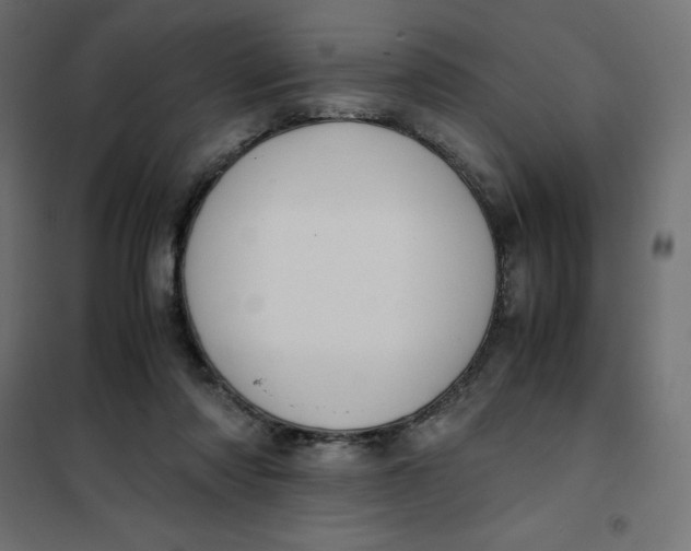 X0000101410310200807281032