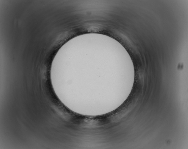 X0000101410311200807281031