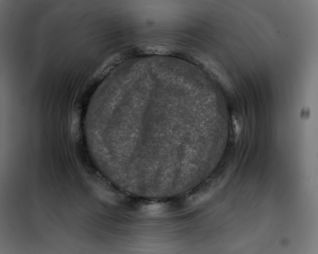 X0000101410312200807281031