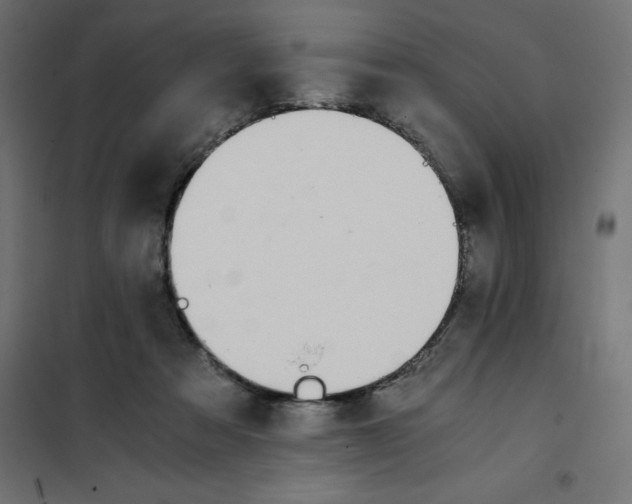 X0000101410313200807281031