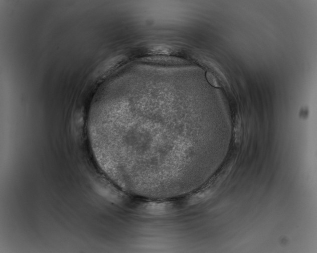 X0000101410314200807281031